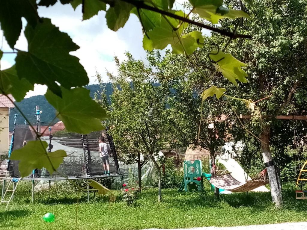 Casa Cornelia Otel Bran  Dış mekan fotoğraf