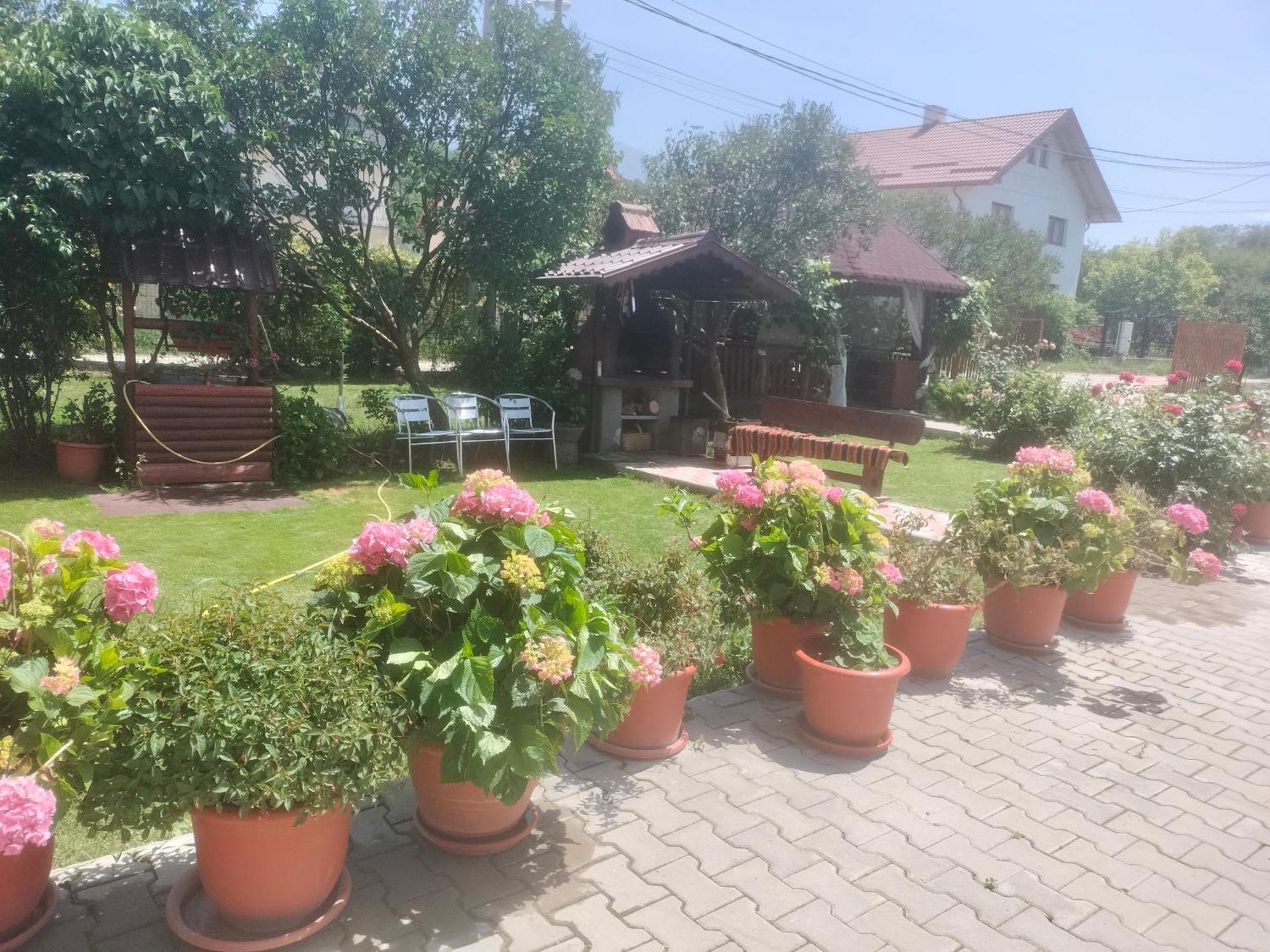 Casa Cornelia Otel Bran  Dış mekan fotoğraf